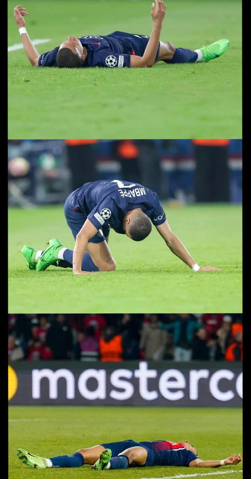 三分投射像精密仪器